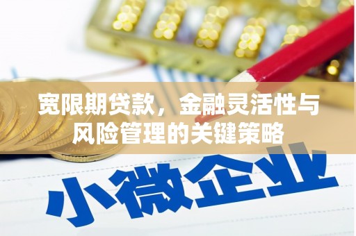 员林宽限期贷款，金融灵活性与风险管理的关键策略
