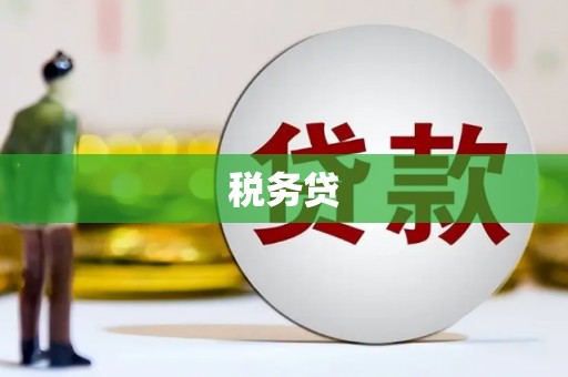 员林税务贷