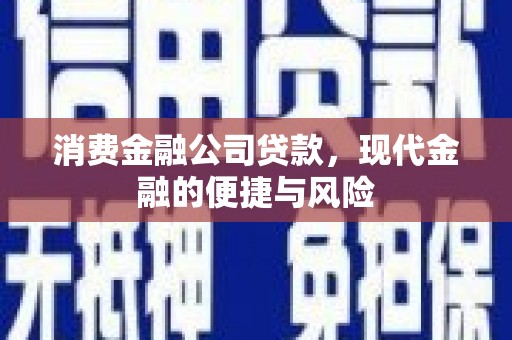 员林消费金融公司贷款，现代金融的便捷与风险