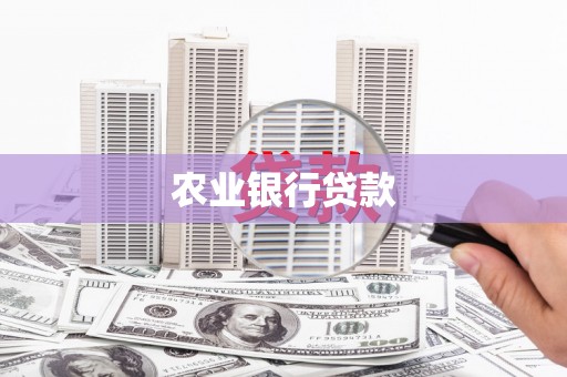员林农业银行贷款