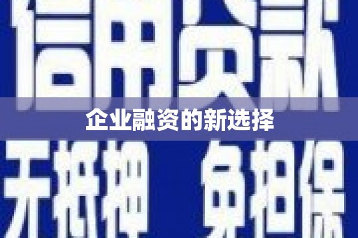 员林企业融资的新选择