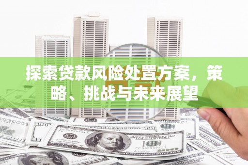 员林探索贷款风险处置方案，策略、挑战与未来展望