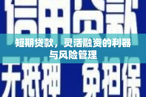 员林短期贷款，灵活融资的利器与风险管理