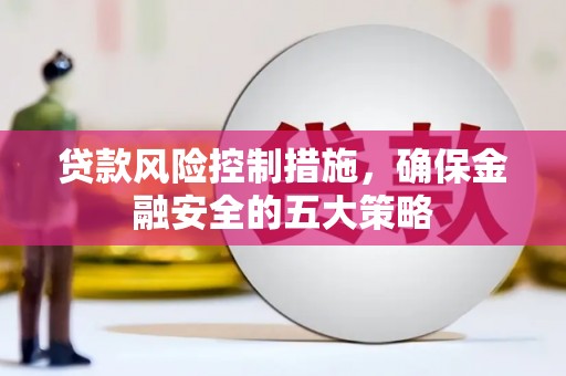 员林贷款风险控制措施，确保金融安全的五大策略