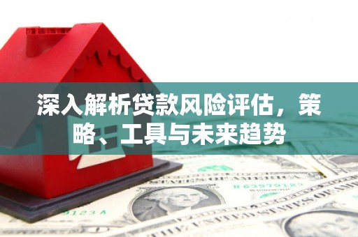 员林深入解析贷款风险评估，策略、工具与未来趋势
