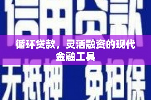 员林循环贷款，灵活融资的现代金融工具