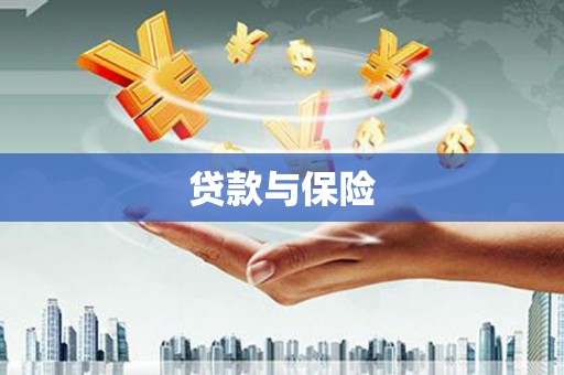 员林贷款与保险