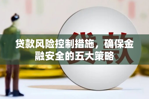 员林贷款风险控制措施，确保金融安全的五大策略