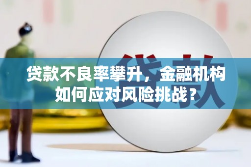 员林贷款不良率攀升，金融机构如何应对风险挑战？