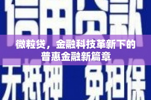 员林微粒贷，金融科技革新下的普惠金融新篇章