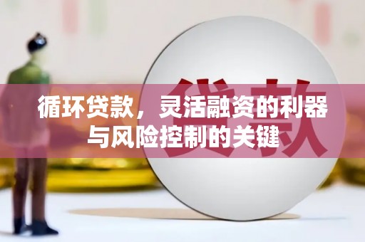 员林循环贷款，灵活融资的利器与风险控制的关键
