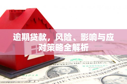 员林逾期贷款，风险、影响与应对策略全解析