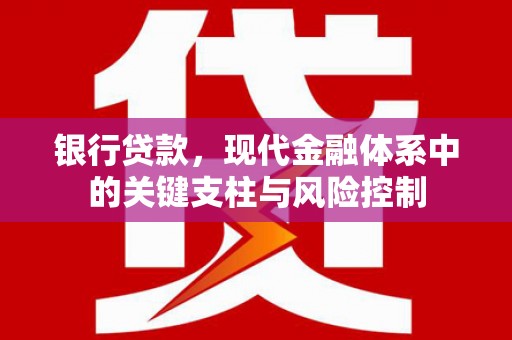 员林银行贷款，现代金融体系中的关键支柱与风险控制