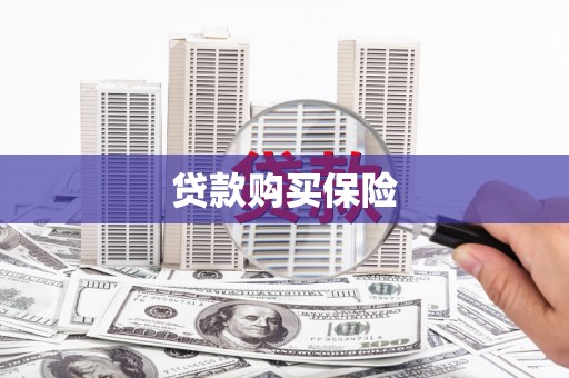员林贷款购买保险