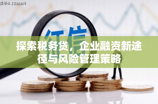 员林探索税务贷，企业融资新途径与风险管理策略