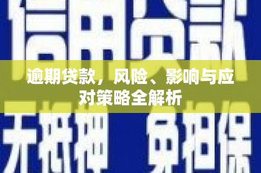 员林逾期贷款，风险、影响与应对策略全解析