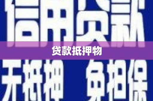 员林贷款抵押物
