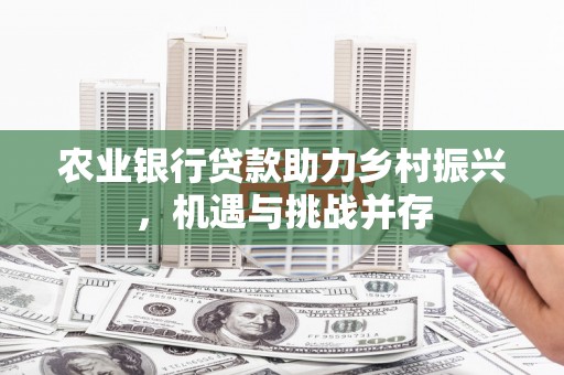 员林农业银行贷款助力乡村振兴，机遇与挑战并存