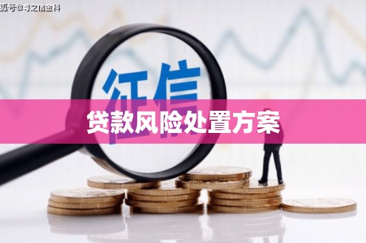 员林贷款风险处置方案