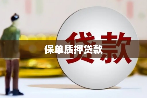 员林保单质押贷款