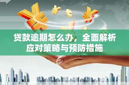 员林贷款逾期怎么办，全面解析应对策略与预防措施