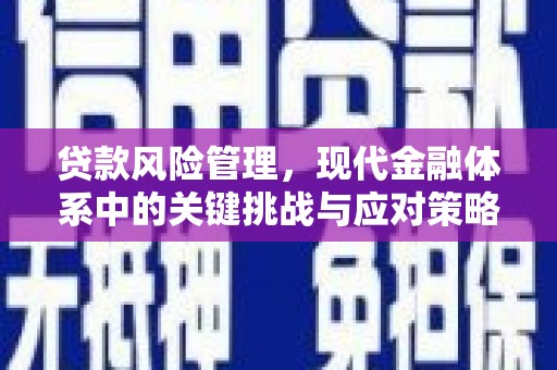 员林贷款风险管理，现代金融体系中的关键挑战与应对策略