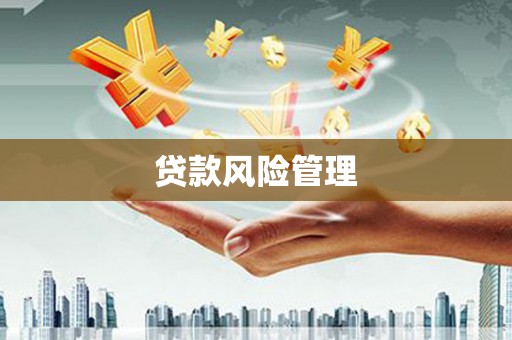 员林贷款风险管理