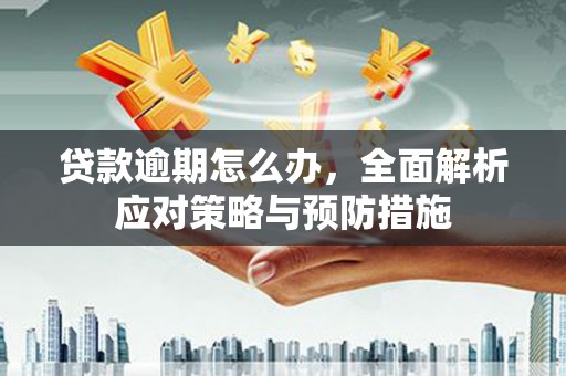 员林贷款逾期怎么办，全面解析应对策略与预防措施