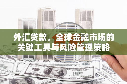 员林外汇贷款，全球金融市场的关键工具与风险管理策略
