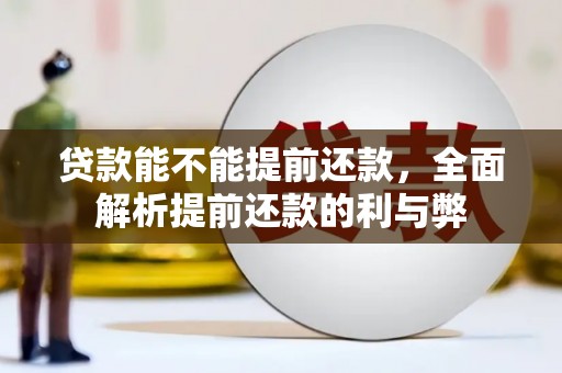 员林贷款能不能提前还款，全面解析提前还款的利与弊