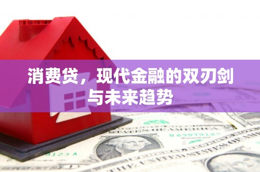 员林消费贷，现代金融的双刃剑与未来趋势