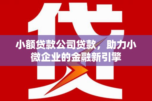 员林小额贷款公司贷款，助力小微企业的金融新引擎