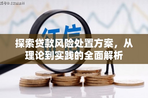 员林探索贷款风险处置方案，从理论到实践的全面解析