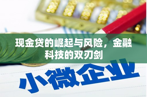 员林现金贷的崛起与风险，金融科技的双刃剑