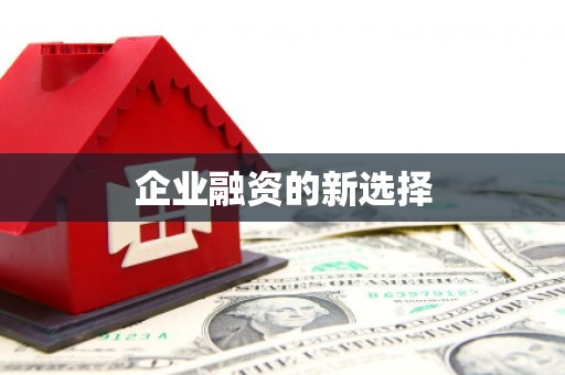 员林企业融资的新选择