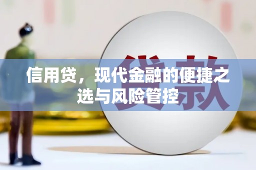员林信用贷，现代金融的便捷之选与风险管控
