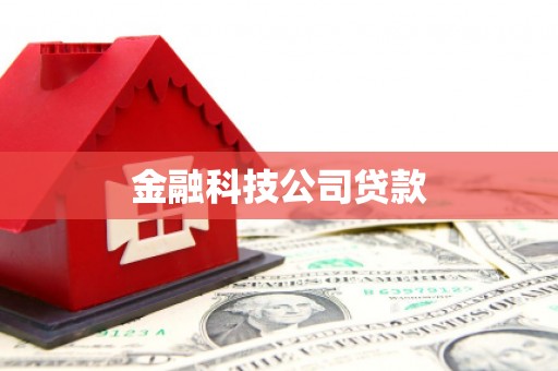 员林金融科技公司贷款