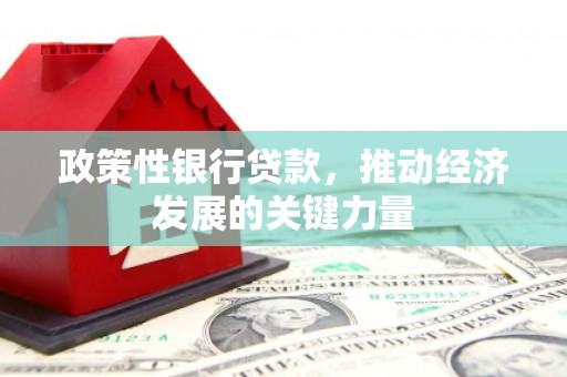 员林政策性银行贷款，推动经济发展的关键力量