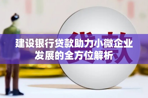 员林建设银行贷款助力小微企业发展的全方位解析