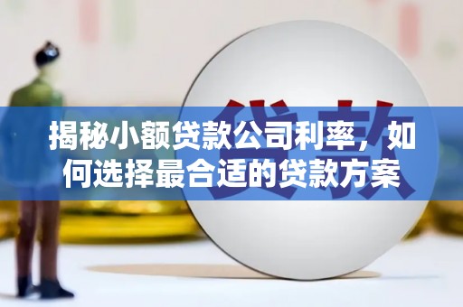员林揭秘小额贷款公司利率，如何选择最合适的贷款方案
