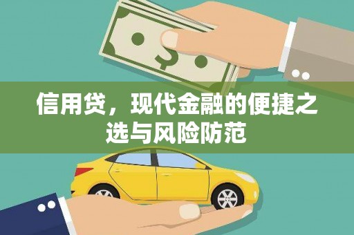 员林信用贷，现代金融的便捷之选与风险防范