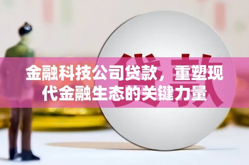 员林金融科技公司贷款，重塑现代金融生态的关键力量