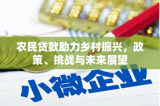 员林农民贷款助力乡村振兴，政策、挑战与未来展望