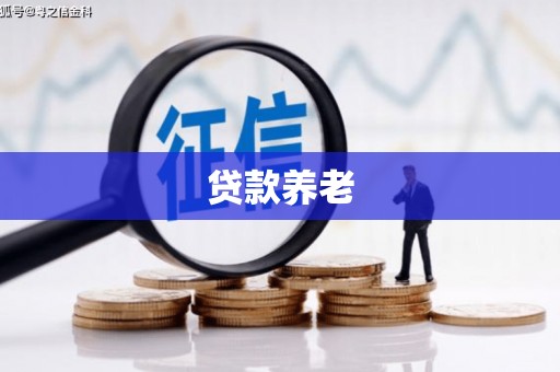 员林贷款养老