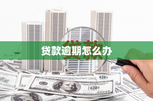 员林贷款逾期怎么办