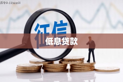 员林低息贷款