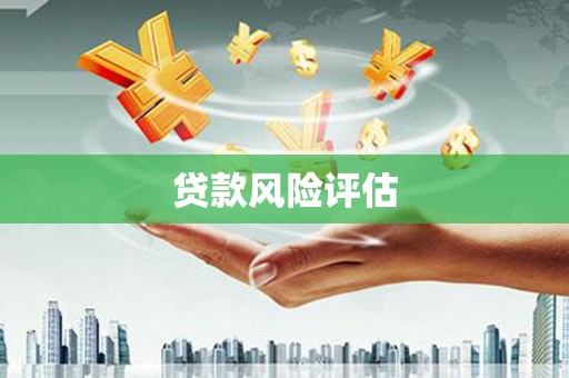 员林贷款风险评估