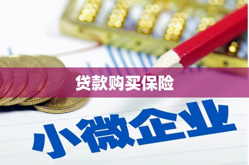 员林贷款购买保险