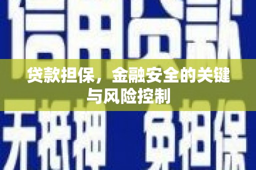 员林贷款担保，金融安全的关键与风险控制