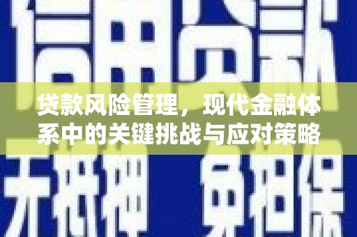 员林贷款风险管理，现代金融体系中的关键挑战与应对策略